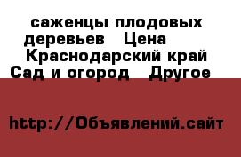 саженцы плодовых деревьев › Цена ­ 80 - Краснодарский край Сад и огород » Другое   